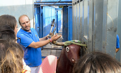 Puertas abierta del corro MDG2018