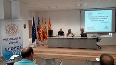 Curs de videovigilncia en operatius policials