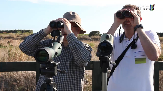 Observadors d'aus en la desembocadura del Millars