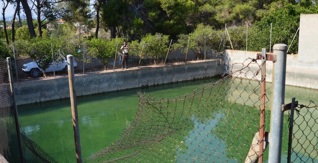 Bassa d'on prov el vessament de fangs al Millars