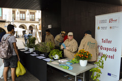 Taller de plantes aromtiques en el mercat dels dijous_1