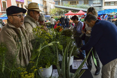 Els alumnes del Taller d'Ocupaci d'agricultura difonen les plantes de aromtiques al Mercat del dijous