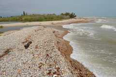 Desembocadura de la Gola sur del Mijares_1