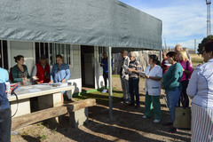 Adjudicacin de parcelas en los huertos urbanos