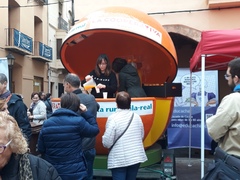 Jornadas gastronmicas de la naranja_2