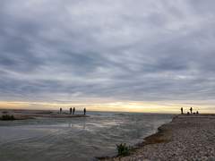 Pescadores en el Mijares_1