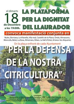 Manifestaci en defensa de la citricultura