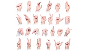 Formació per a l'ocupació - Llengua de signes. Nivell A2