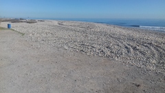 Rodamientos ilegales en la playa de la Gola Sud