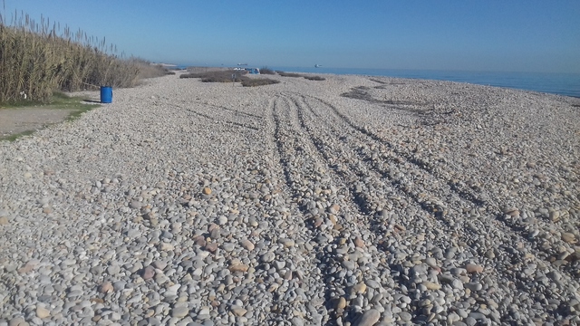 Rodamientos ilegales en la playa de la Gola Sud_1