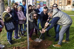 Da del rbol en el jardn Jaume I_2