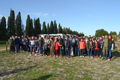 Dia de l'Arbre del Consorci del Millars_1