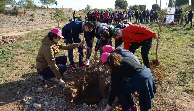 Dia de l'Arbre del Consorci del Millars_2