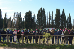 Dia de l'Arbre del Consorci del Millars_3