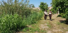 Guardera Rural del Consorcio del Mijares