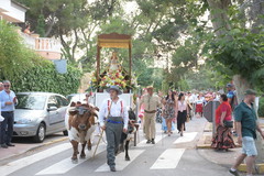 Romeria del Roco 2019_1