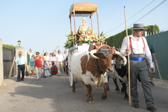 Romeria del Roco 2019_2