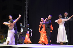 Festival Nacional de Bailes de Salón