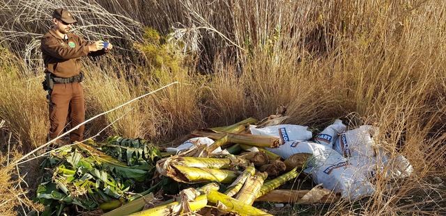 La guardera rural ha detectado nuevos vertidos dentro del paisaje protegido del Millars