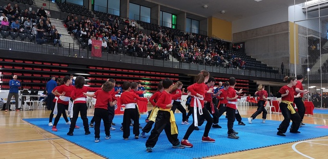 Campeonato de Artes Marciales Chinas celebrado en Vila-real_1