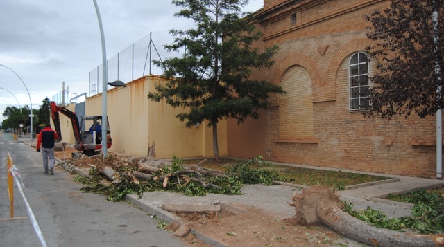 Obras en los accesos al colegio Virgen del Carmen_1