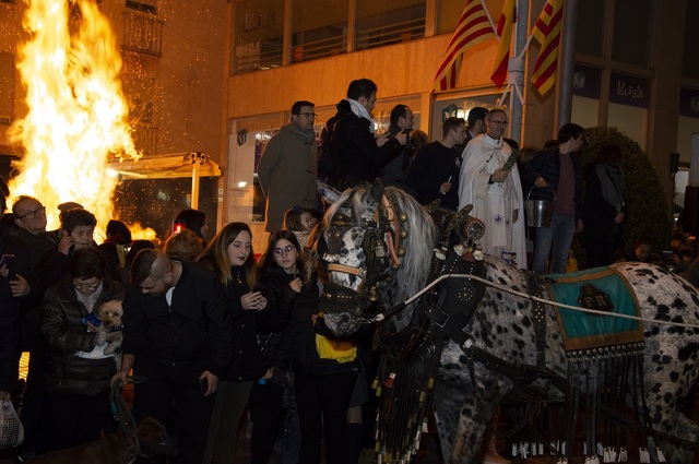 Matx de Sant Antoni 2020_3