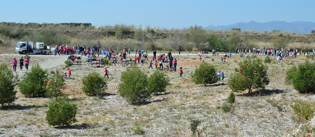 Actividades en el paraje de la Desembocadura del Mijares _1