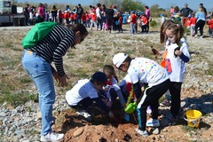 Actividades en el paraje de la Desembocadura del Mijares _2