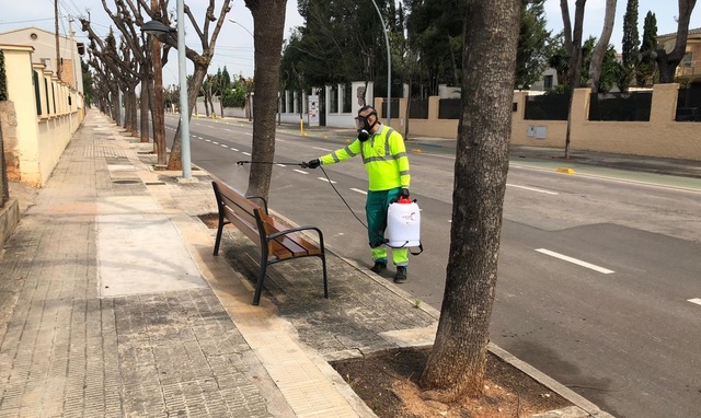 Tasques de desinfecci de bancs en espais pblics