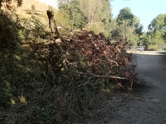 Desperfectos en el paisaje protegido del Mijares en la Ruta Botnica de Vila-real_1