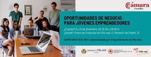 Oportunitats de negoci per a joves emprenedors