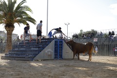 Bou al carrer en el recinto porttil