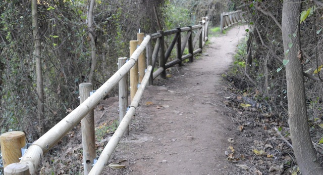 Reparacin de mobiliario de la ruta botnica