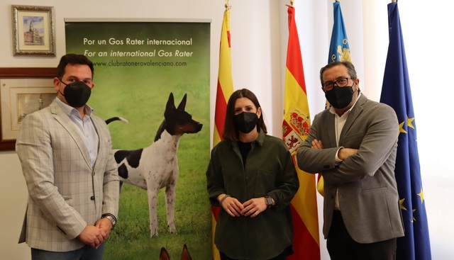 La regidora de Tradicions s'ha reunit amb representants del Club del Gos Rater Valenci 