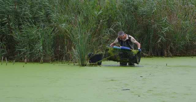 Campanya de seguiment i control de tortugues d'aigua dola al Millars_1