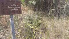 Campaa de seguimiento y control de tortugas de agua dulce en el Mijares_2