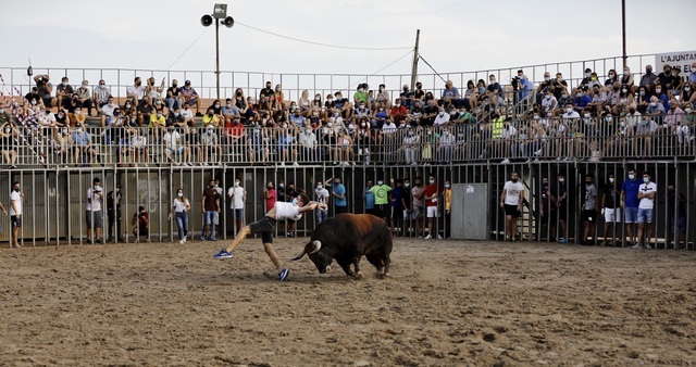 Toros en plaza MDG2021