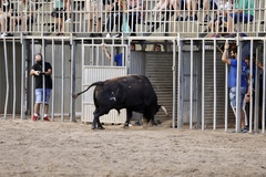 Plaza de toros porttil MDG2021_1