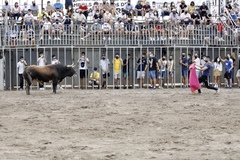 Plaza de toros porttil MDG2021_4