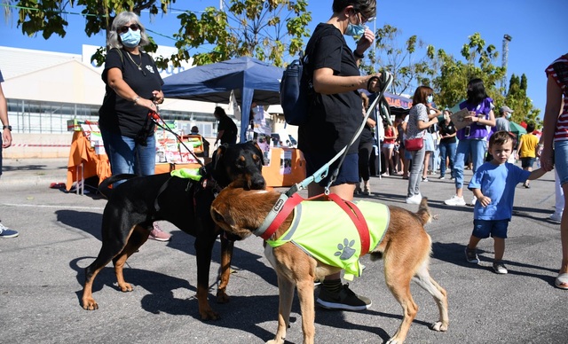 II Feria de la Adopcin Animal