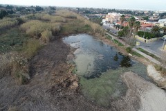 Recuperacin de la Gola Norte de la Desembocadura del Mijares