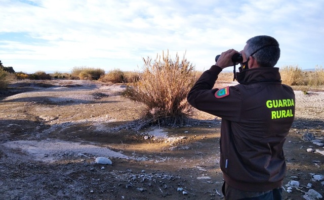 Censo invernal de aguiluchos laguneros en el paisaje protegido del Mijares_1