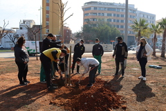 Plantaci del Dia de l'Arbre 2022_2