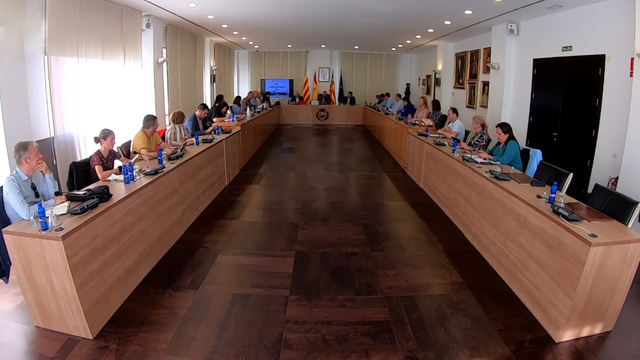 Ple extraordinari del 13 de maig de 2022_1