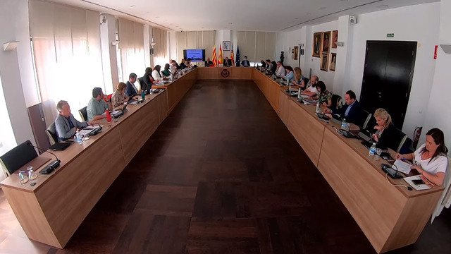 Pleno ordinario del Ayuntamiento de Vila-real