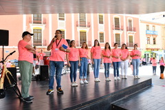 I Marcha solidaria de la Asociacin Castelln contra el cncer_2