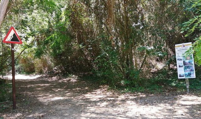 Acceso a la senda botnica desde el paraje del Termet de Vila-real