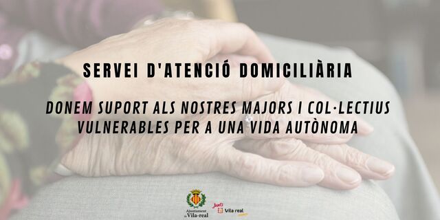 Servicio de Atencin Domiciliaria