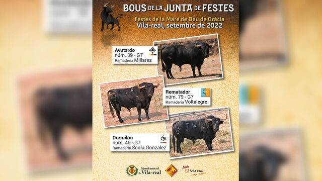 Toros de la Junta de Fiestas de la Virgen de Gracia de 2022