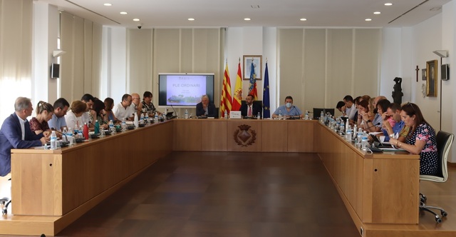 Pleno ordinario de julio de 2022